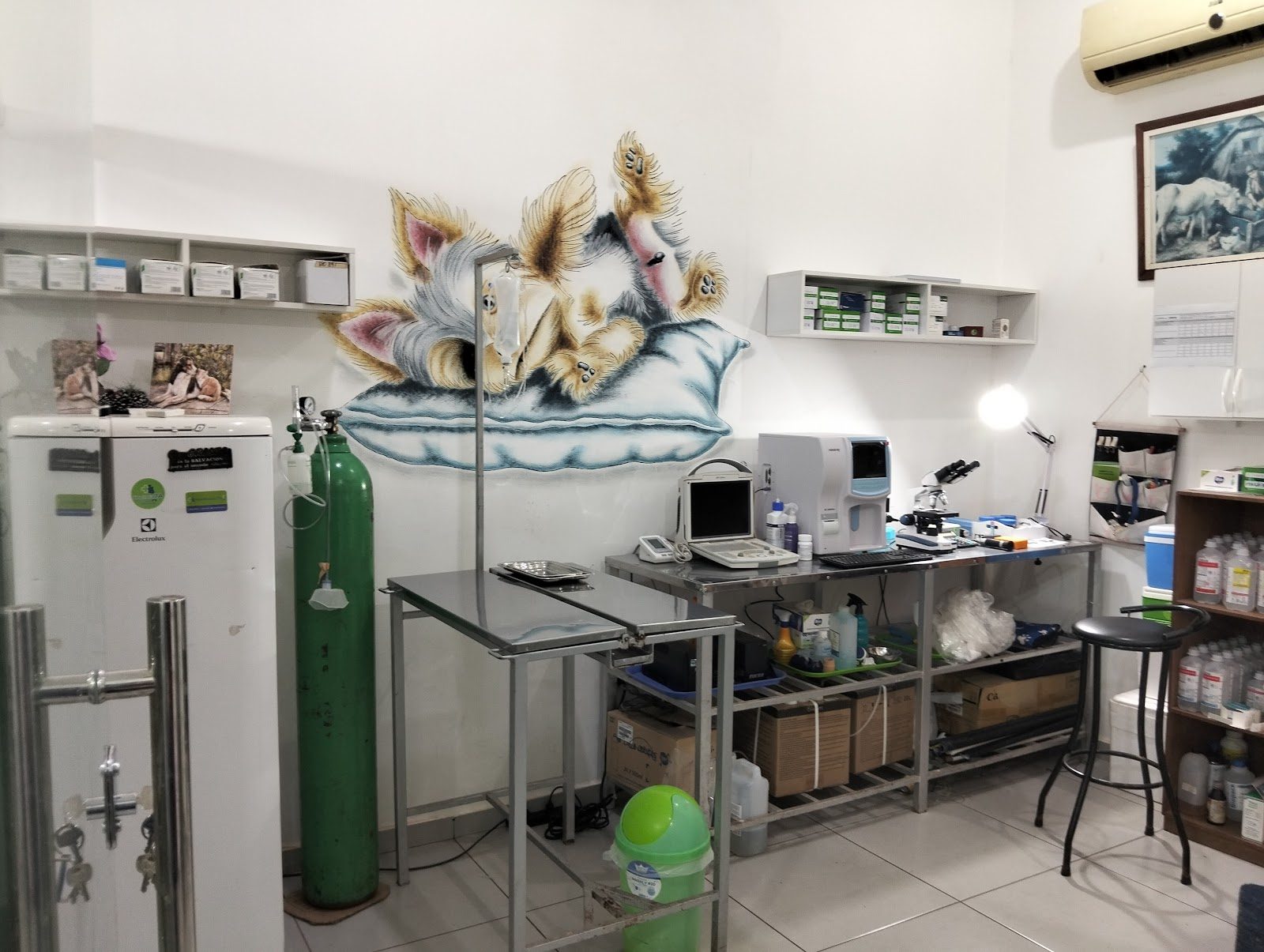 Sala de atención de Veterinaria 7A