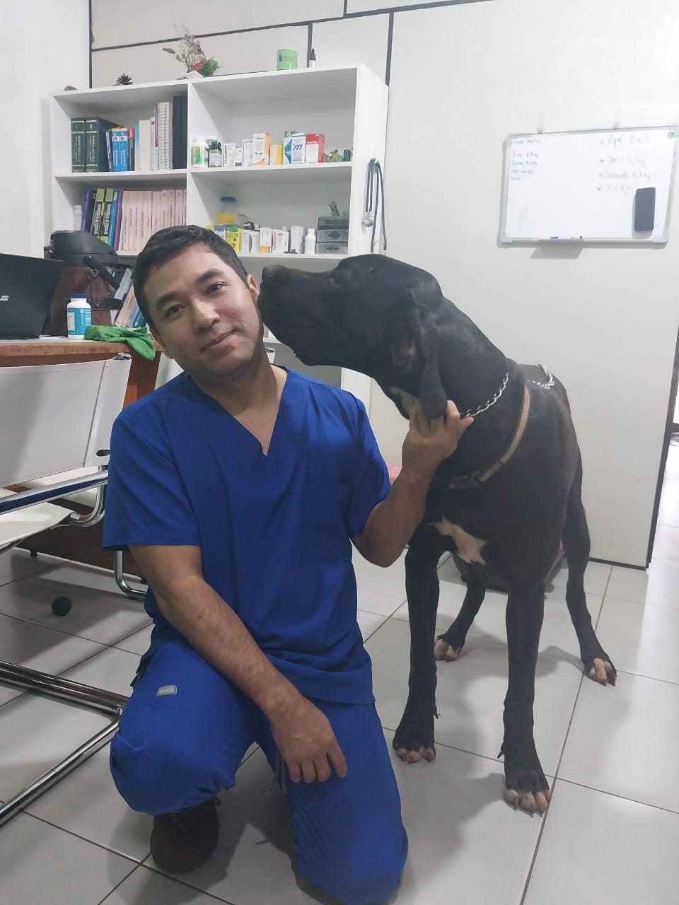 Veterinario de 7A con un paciente