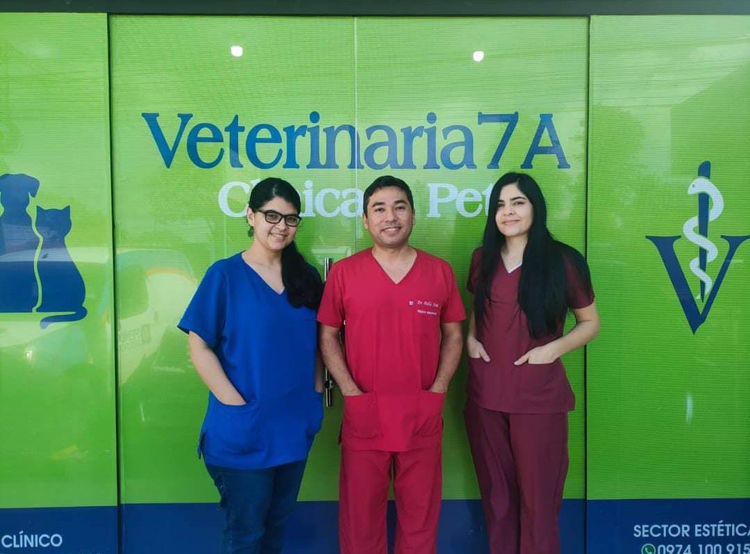Equipo médico de Veterinaria 7A