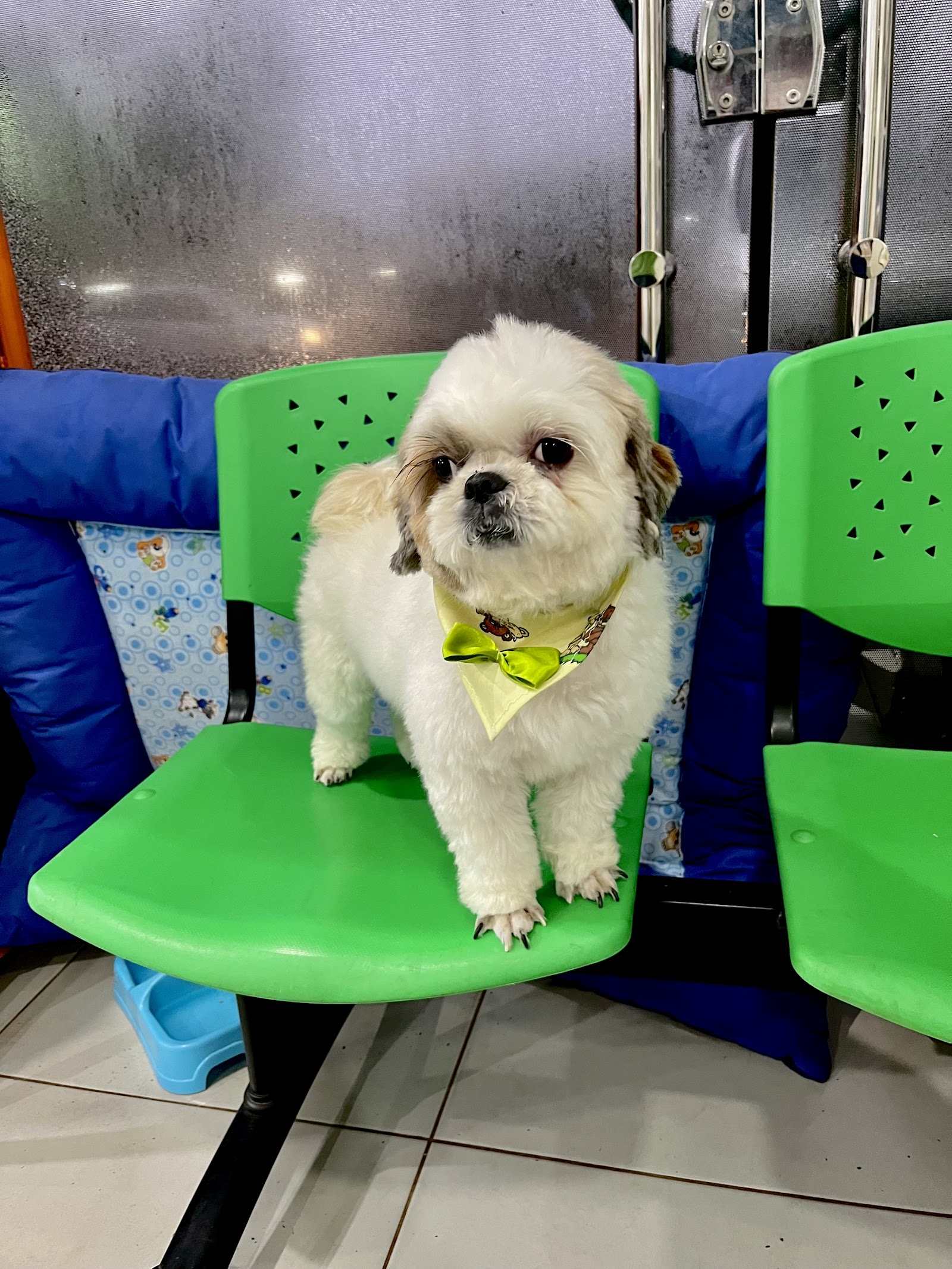 Paciente de Veterinaria 7A
